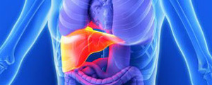 Functional Medicine Approach to Fatty Liver Disease