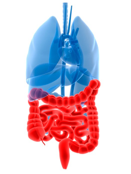 irritable-bowel-syndrome